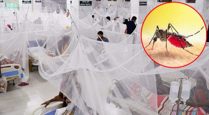 বরিশালে ডেঙ্গু আক্রান্তের সংখ্যা বাড়ছে, হাসপাতালে ভর্তি ১৫৪ জন